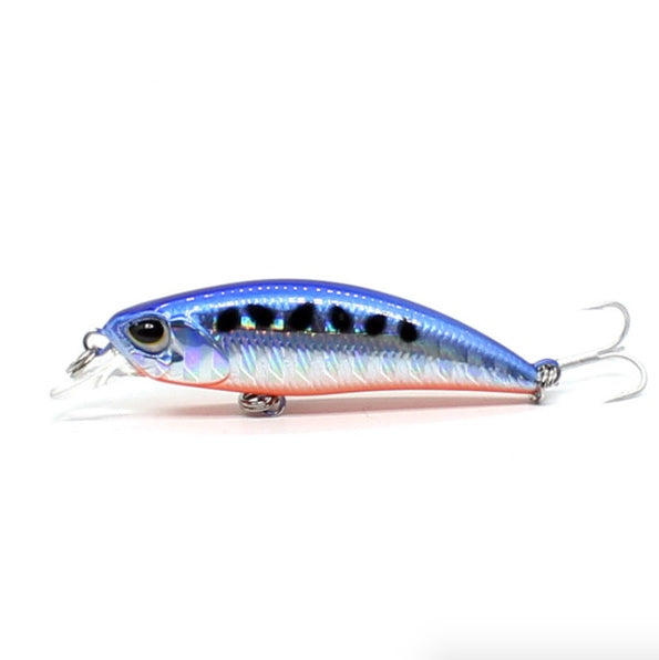 Fiskesluker